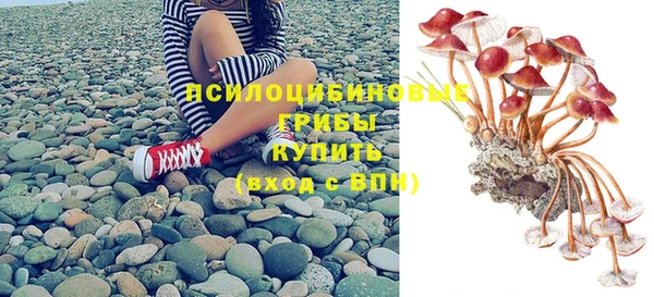 прущие крисы Бугульма