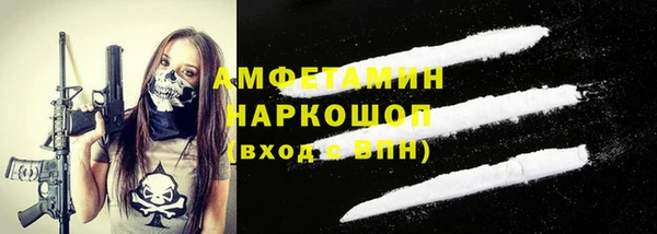 сатива Бородино
