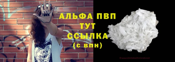 сатива Бородино