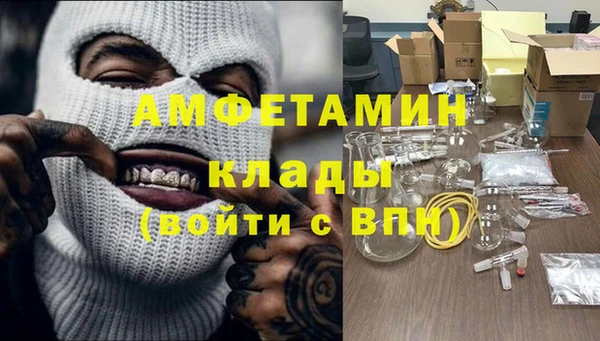 сатива Бородино