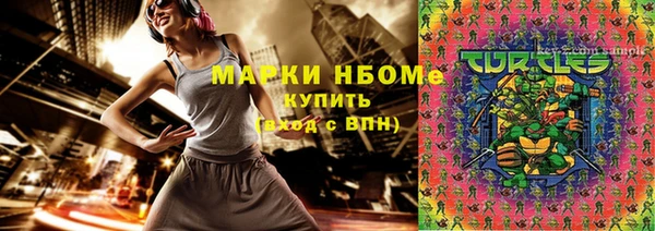 сатива Бородино