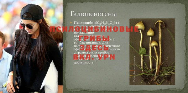 соль ск Бронницы