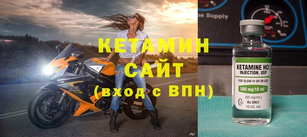 сатива Бородино