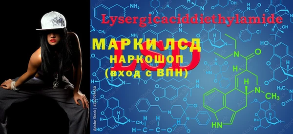 сатива Бородино