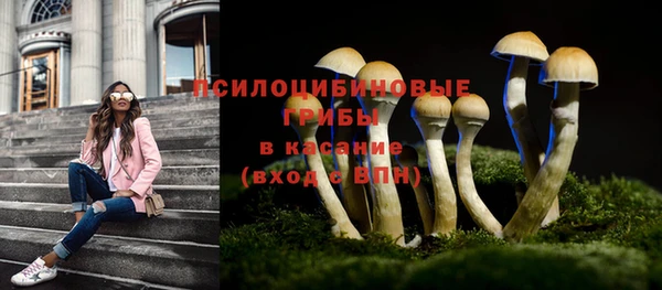 соль ск Бронницы