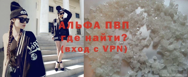 сатива Бородино