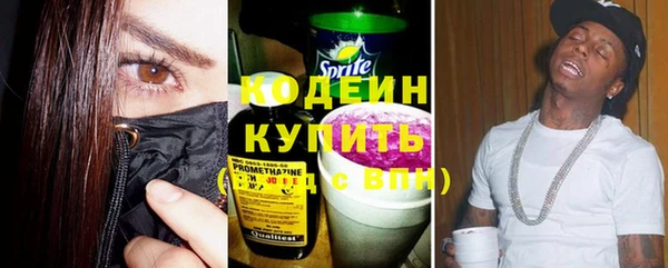 сатива Бородино