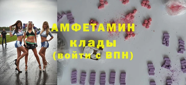 сатива Бородино