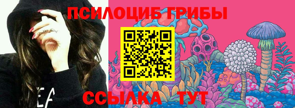 Вязьма  Псилоцибиновые грибы мухоморы  Галлюциногенные грибы мухоморы  купить наркоту  Вход с VPN 